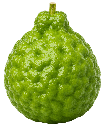 Bergamot